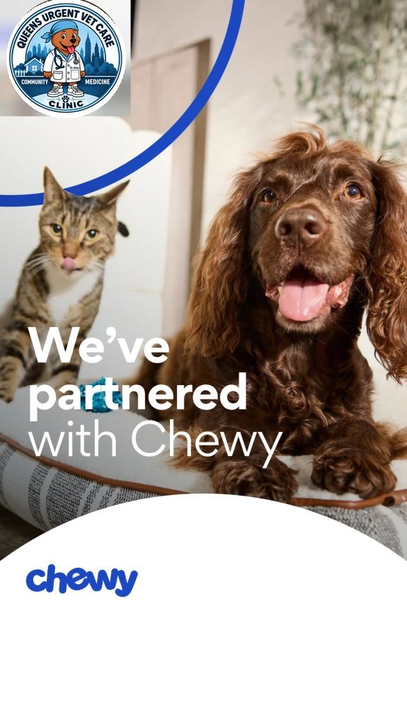 We’ve partnered with Chewy. Queens Urgent Vet Care prescriptions delivered to your door.