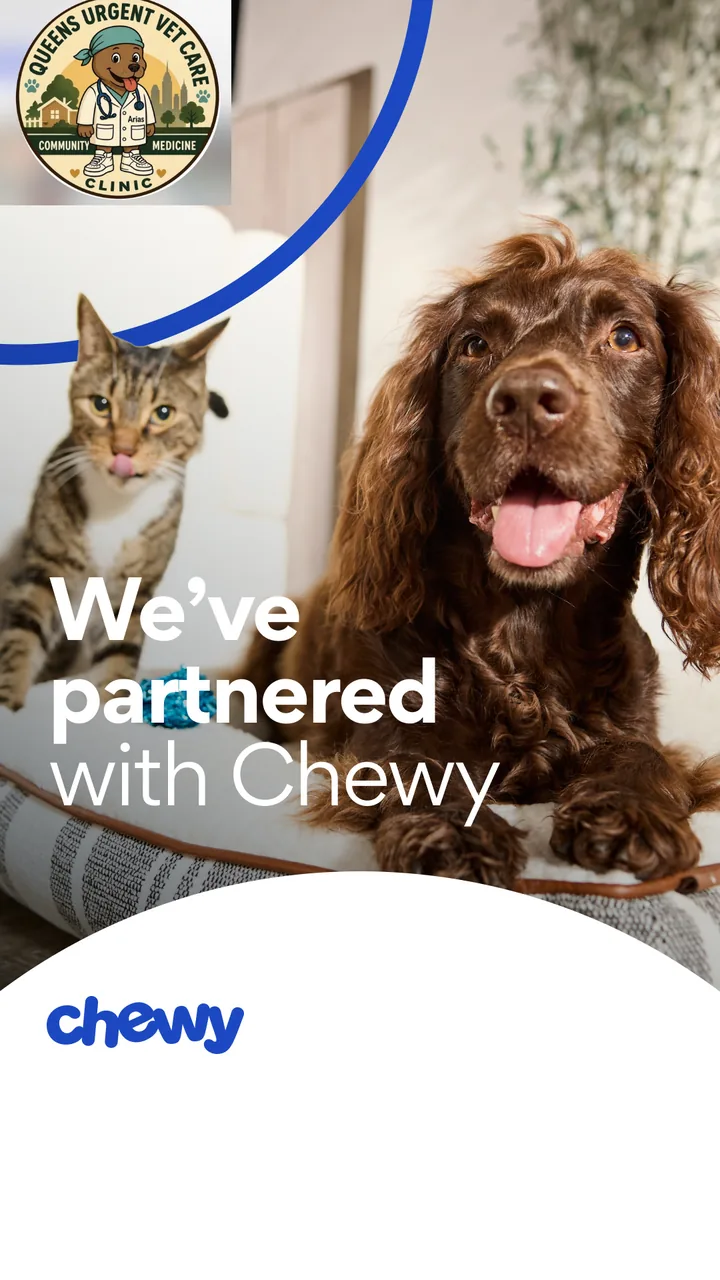 Queens Urgent Vet Care logo with a dog and cat, and the message: We have partnered with Chewy