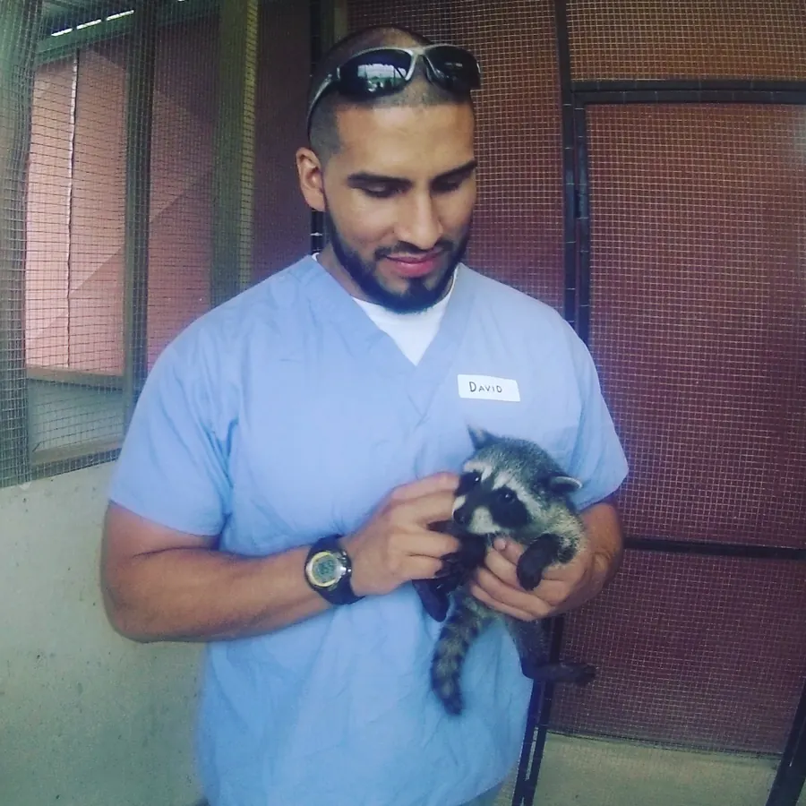 El Dr. David Arias con uniforme celeste sosteniendo con cuidado a un mapache joven